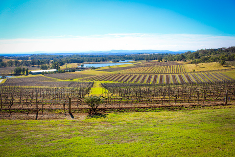 Hunter Valley: tour privato di degustazione di vini da SydneyDa Sydney: tour privato di degustazione di vini della Hunter Valley