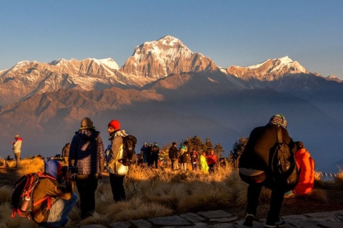 Pokhara : 2 jours de trek très court à PoonHill