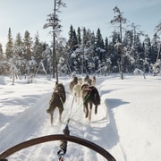 Rovaniemi: Paseo en Husky por el Pueblo de Papá Noel