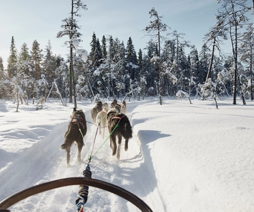 Rovaniemi: Passeio de Husky na Aldeia do Pai Natal