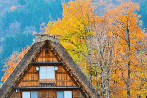 Depuis Osaka/Kyoto : Excursion d&#039;une journée à Shirakawa-go, TakaYama et Kanazawa