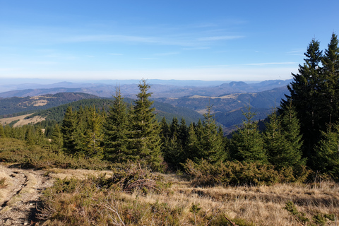 Von Brasov aus: Wandern im Piatra Craiului Nationalpark