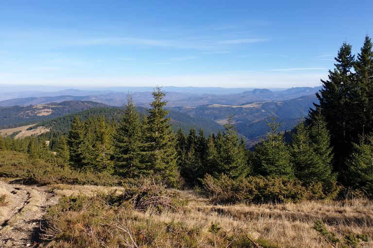 Von Brasov aus: Wandern im Piatra Craiului Nationalpark