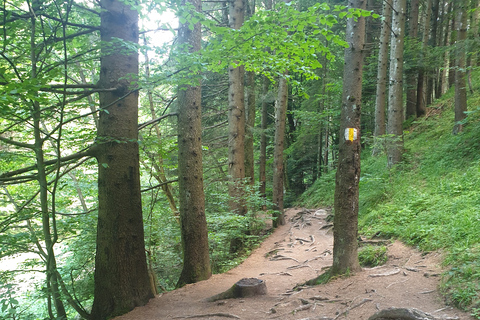 Von Brasov aus: Wandern im Piatra Craiului Nationalpark