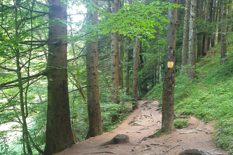 Von Brasov aus: Wandern im Piatra Craiului Nationalpark