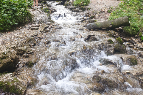 Von Brasov aus: Wandern im Piatra Craiului Nationalpark