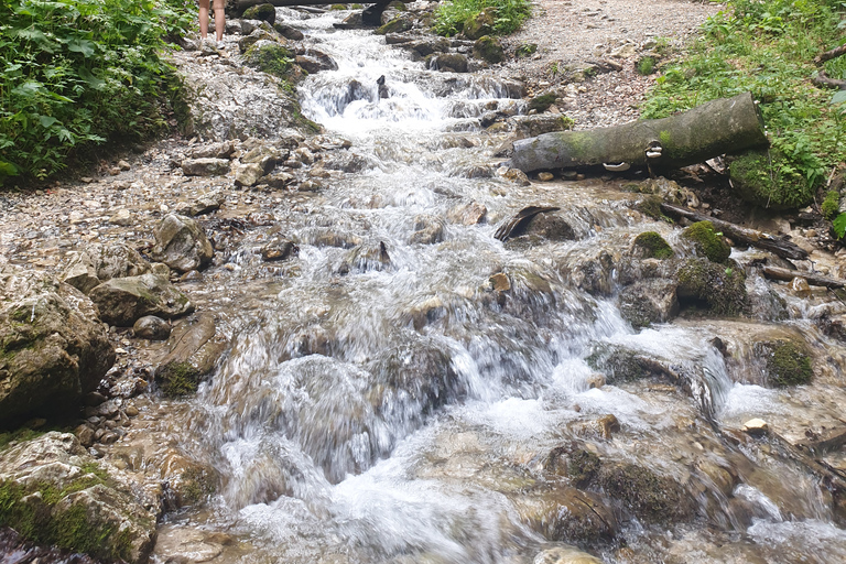 Von Brasov aus: Wandern im Piatra Craiului Nationalpark