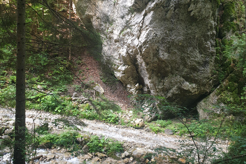 Von Brasov aus: Wandern im Piatra Craiului Nationalpark