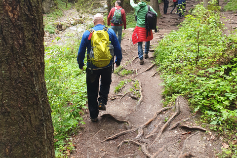 Von Brasov aus: Wandern im Piatra Craiului Nationalpark