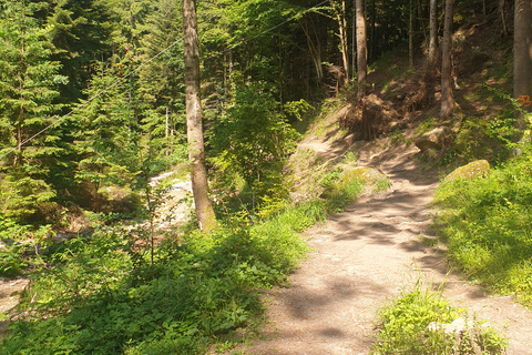 Von Brasov aus: Wandern im Piatra Craiului Nationalpark