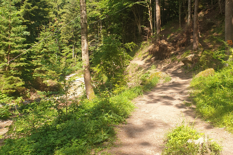 Von Brasov aus: Wandern im Piatra Craiului Nationalpark