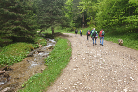 Von Brasov aus: Wandern im Piatra Craiului Nationalpark