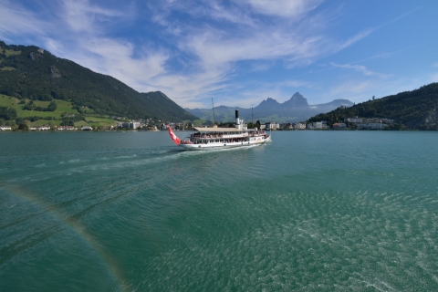 Ingenbohl: Roundtrip Lake Uri Cruise from Brunnen to Flüelen 1st Class
