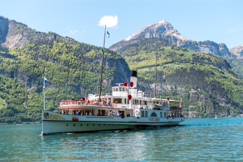 Ingenbohl: Crucero de ida y vuelta por el lago Uri de Brunnen a Flüelen1ª Clase