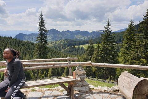 Von Brasov aus: Wandern im Piatra Craiului Nationalpark