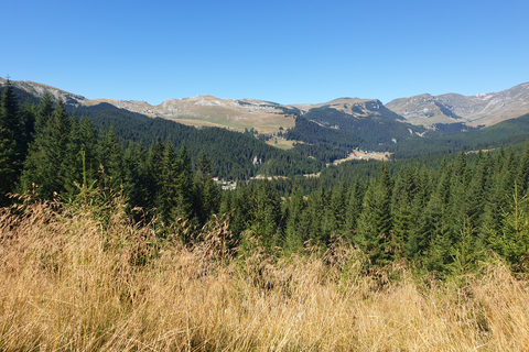 Von Brasov aus: Wandern im Piatra Craiului Nationalpark