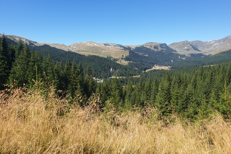 Von Brasov aus: Wandern im Piatra Craiului Nationalpark