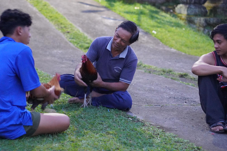 Bali: Magical Night Firefly Tour & Authentic Culture insight