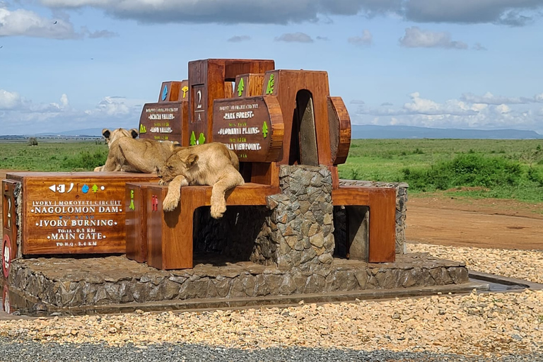 Halve dag Nairobi - Nationaal park, olifanten- en giraffencentrum