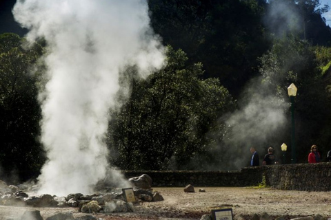 Furnas: Tour di un giorno delle sorgenti termali e della piantagione di tè con pranzoFurnas: tour di un giorno alle sorgenti termali e alla piantagione di tè con pranzo