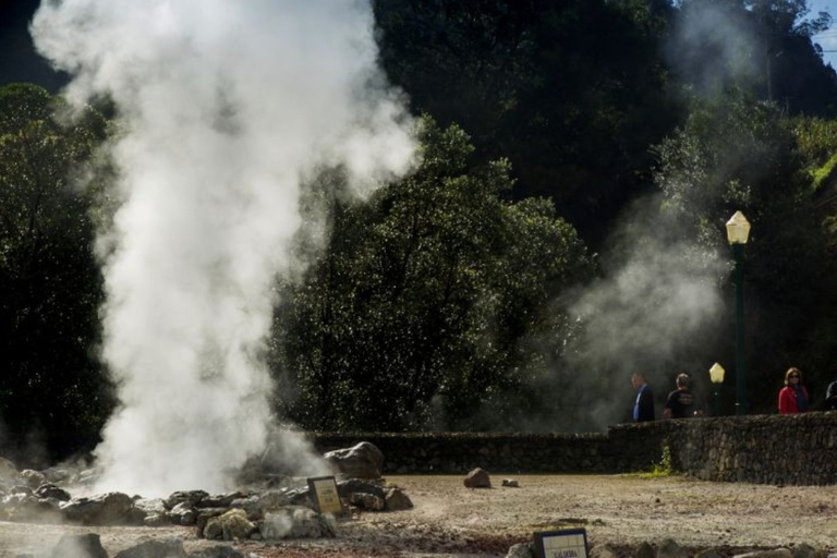 Furnas: Tour di un giorno delle sorgenti termali e della piantagione di tè con pranzoFurnas: tour di un giorno alle sorgenti termali e alla piantagione di tè con pranzo