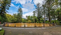 Furnas，Thermal Springs和Tea Plantation Day Tour与午餐 - Housity