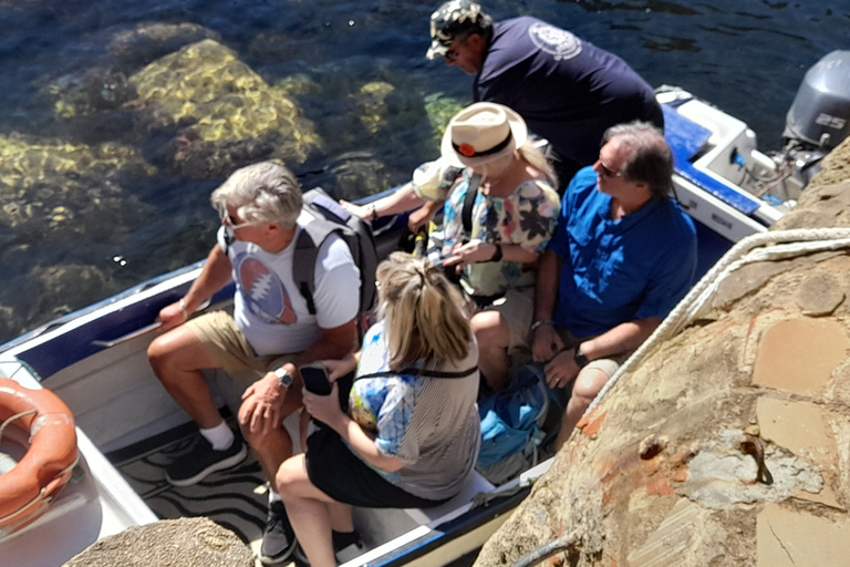 Tour della città di Lagos e escursione in barca a Ponta da Piedade di mezza giornataTour privato di mezza giornata di Lagos e Ponta da Piedade