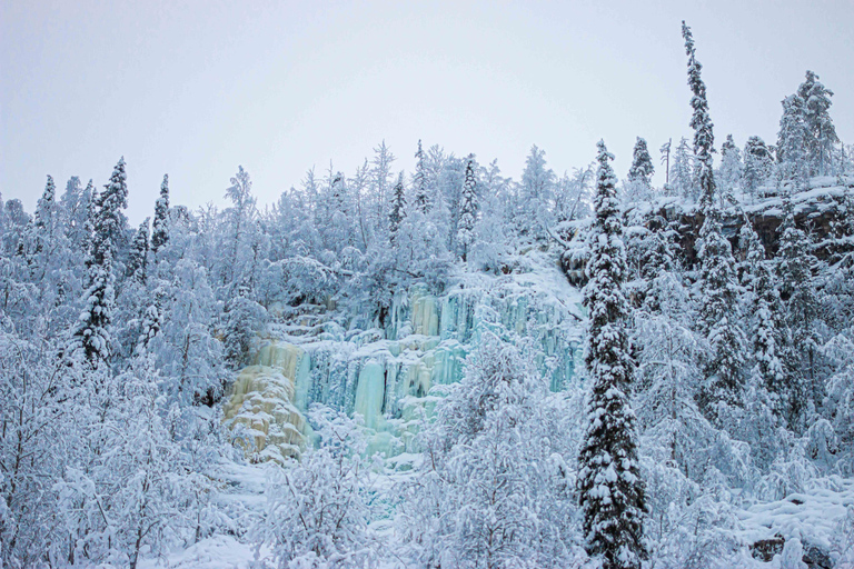 Z Rovaniemi: całodniowa wycieczka po zamarzniętych wodospadach Korouoma