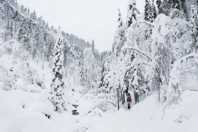 Z Rovaniemi: całodniowa wycieczka po zamarzniętych wodospadach Korouoma