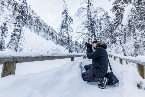 Da Rovaniemi: tour di un&#039;intera giornata alle cascate ghiacciate di Korouoma