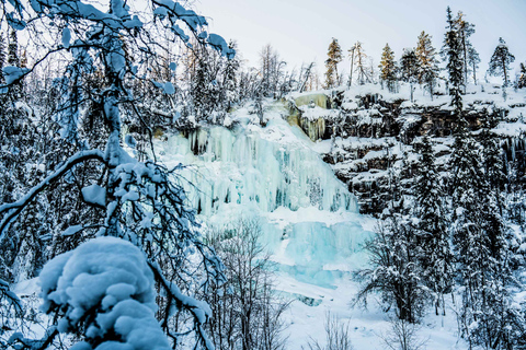 De Rovaniemi: excursão de dia inteiro às cachoeiras congeladas de Korouoma