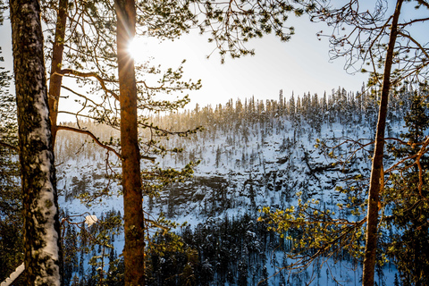 Ab Rovaniemi: Gefrorene Wasserfälle von Korouoma Ganztagestour