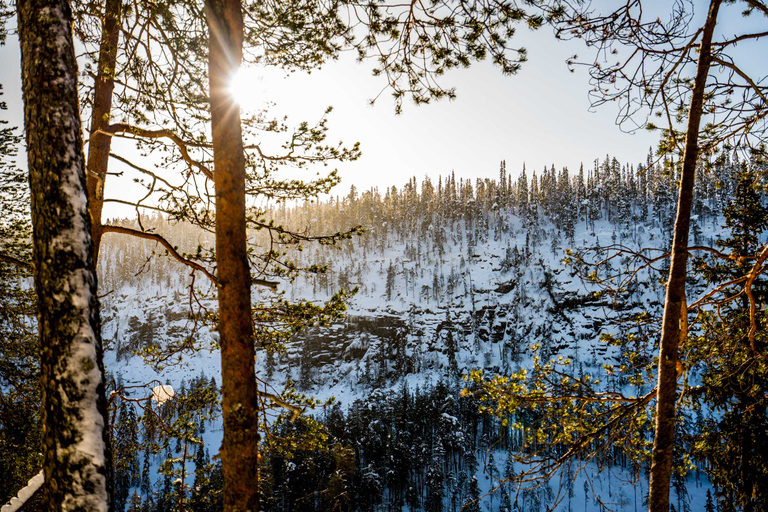 Desde Rovaniemi: Excursión de un día a las Cascadas Heladas de Korouoma