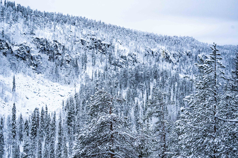 Da Rovaniemi: tour di un&#039;intera giornata alle cascate ghiacciate di Korouoma