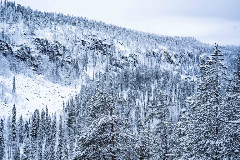 Desde Rovaniemi: Excursión de un día a las Cascadas Heladas de Korouoma