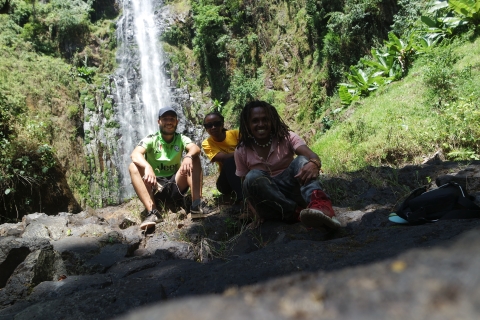 Materuni-watervallen en koffie-excursie Dagtour