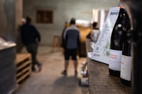 Bicicleta de medio día guiada en Beaujolais - Mont Brouilly y Wine - Housity