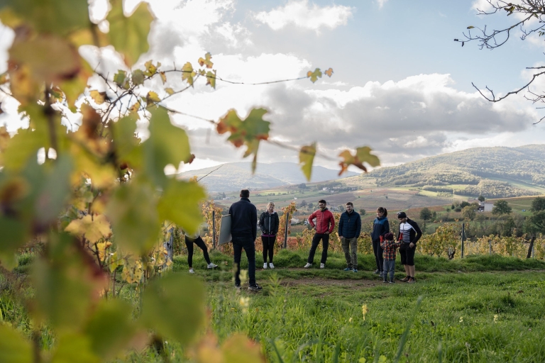 Medio día en bicicleta con guía en Beaujolais - Mont Brouilly y vinoMont Brouilly : Descubre el paisaje desde la cima y el vino