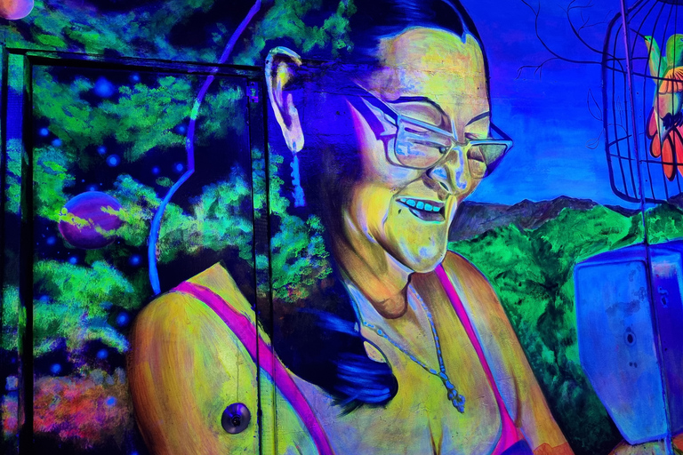 Medellín: Comuna 13 Guided Tour with Local Artists