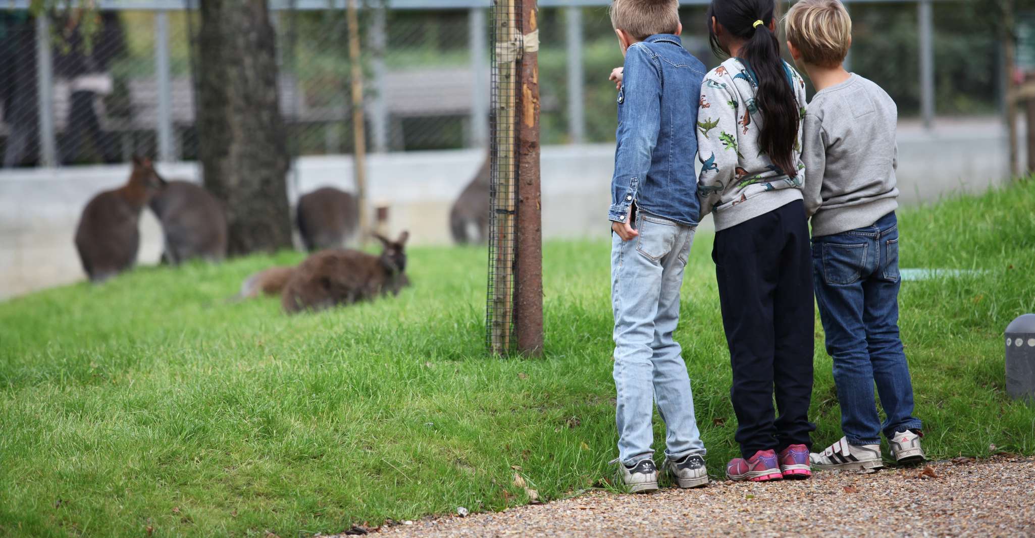 Copenhagen, Copenhagen Zoo Entry Ticket - Hizvo