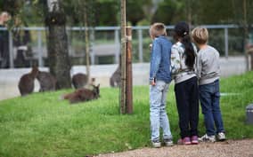 Copenhagen: Copenhagen Zoo Entry Ticket