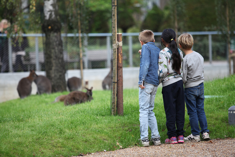 Copenhagen: Copenhagen Zoo Entry Ticket