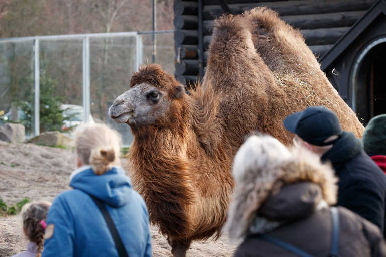 Copenhagen: Copenhagen Zoo Entry Ticket