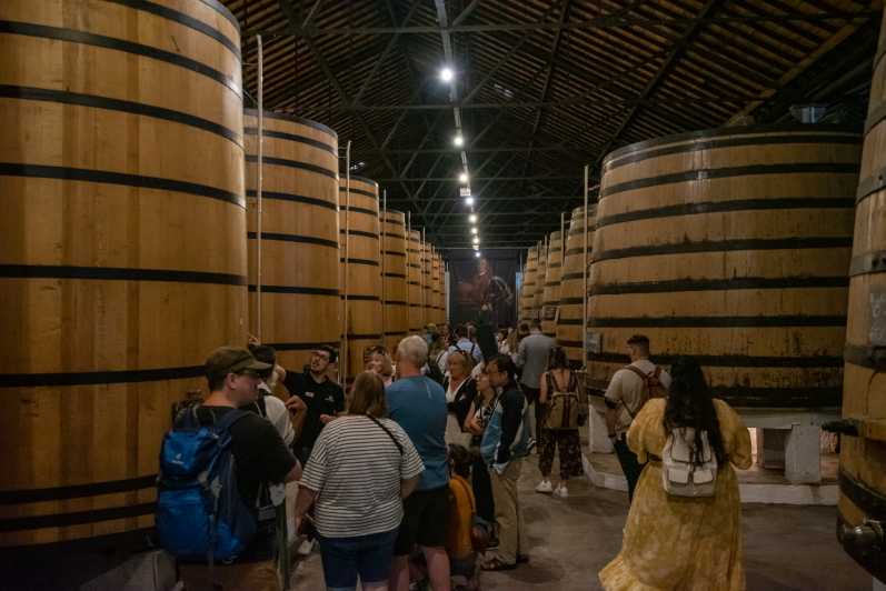 Porto: Wine Cellar Entry, Train Tour & Optional River Cruise