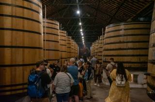 Porto: Eintritt in den Weinkeller, Zugfahrt und optionale Flusskreuzfahrt