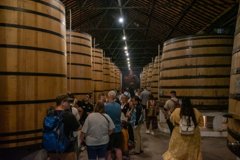 Porto: Companhia Velha Guided Tour + Gaia District Stroll Porto:Wine Cellar visit & Vila nova de Gaia self-guided tour