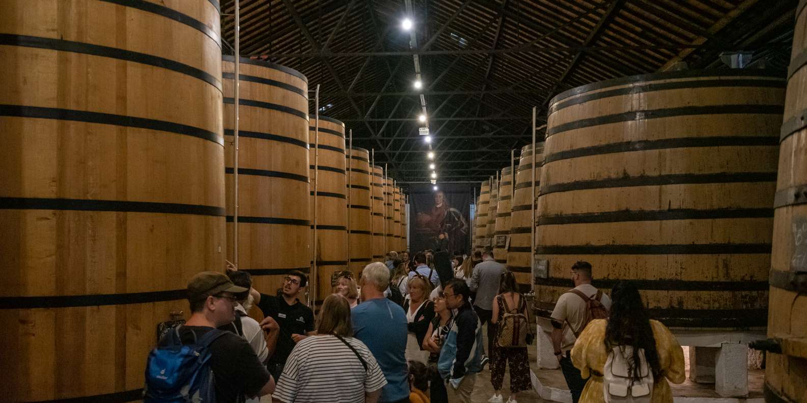 Porto : Entrée dans une cave à vin, visite en train et croisière fluviale  facultative. | GetYourGuide