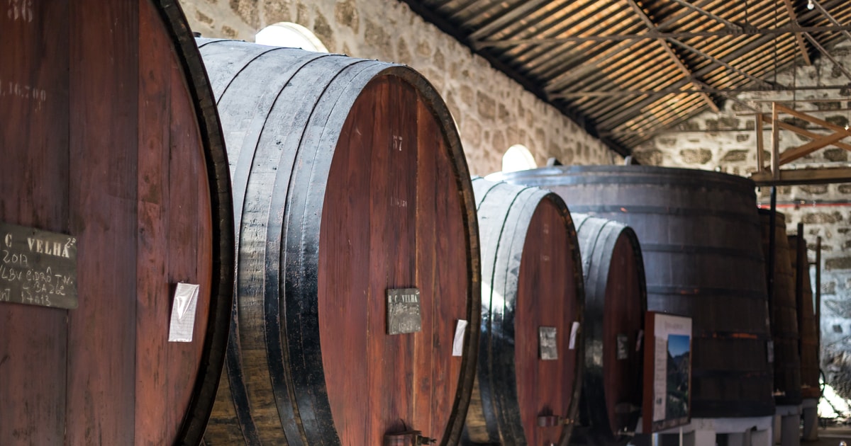 Wine Cellar Tour & Tastings + Magic Train + Bridges Cruise GetYourGuide