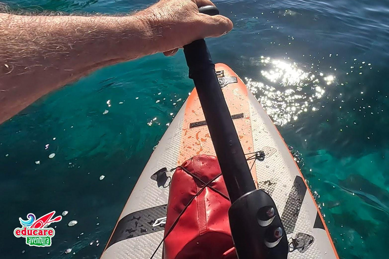 From Nerja: Guided Paddle Surf Cliffs and Maro Waterfall