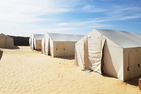 Depuis Douz : désert du Sahara à dos de chameau, 3 jours